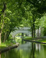 Greenery at Brandywine is a beautiful summer time landscape photograph of the water way in the Brandywine Park and the small white bridge that crosses the river. The photograph was created in mid-summer when the trees were full of lush green foliage.

Title: Greenery at Brandywine
Photographer: Melissa Fague
Genre: Abstract Landscape Photography
Item ID#: ABS-6035

This still life / abstract photograph is one of many available for purchase through www.pipafineart.com. You have your chose of size and print materials. All of our still life / abstract  pictures are printed on high quality materials and the highest quality ink for longevity. Each photo print is also coated with a soft luster finish. If you need assistance we are always available; please contact us with any questions.