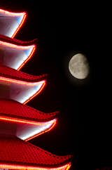 About This Night Urban Landscape Photo:

Moon Over Pagoda is a night photograph that was created at the Hilltop Pagoda in Reading, Pennsylvania. I loved the bold reds against the completely black sky.

Title: Moon Over Pagoda
Landscape Photographer: Melissa Fague
Genre: Night Urban Landscape Photography
Item ID#: NGHT-7006

This night  photograph is one of many available for purchase through www.pipafineart.com. You have your chose of size and print materials. All of our night time  pictures are printed on high quality materials and the highest quality ink for longevity. Each photo print is also coated with a soft luster finish. If you need assistance we are always available; please contact us with any questions.