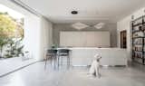 The kitchen