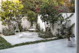 The garden