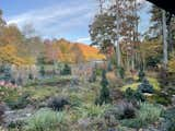 In autumn, the garden shifts to bow spectacular morning light and mountain views.