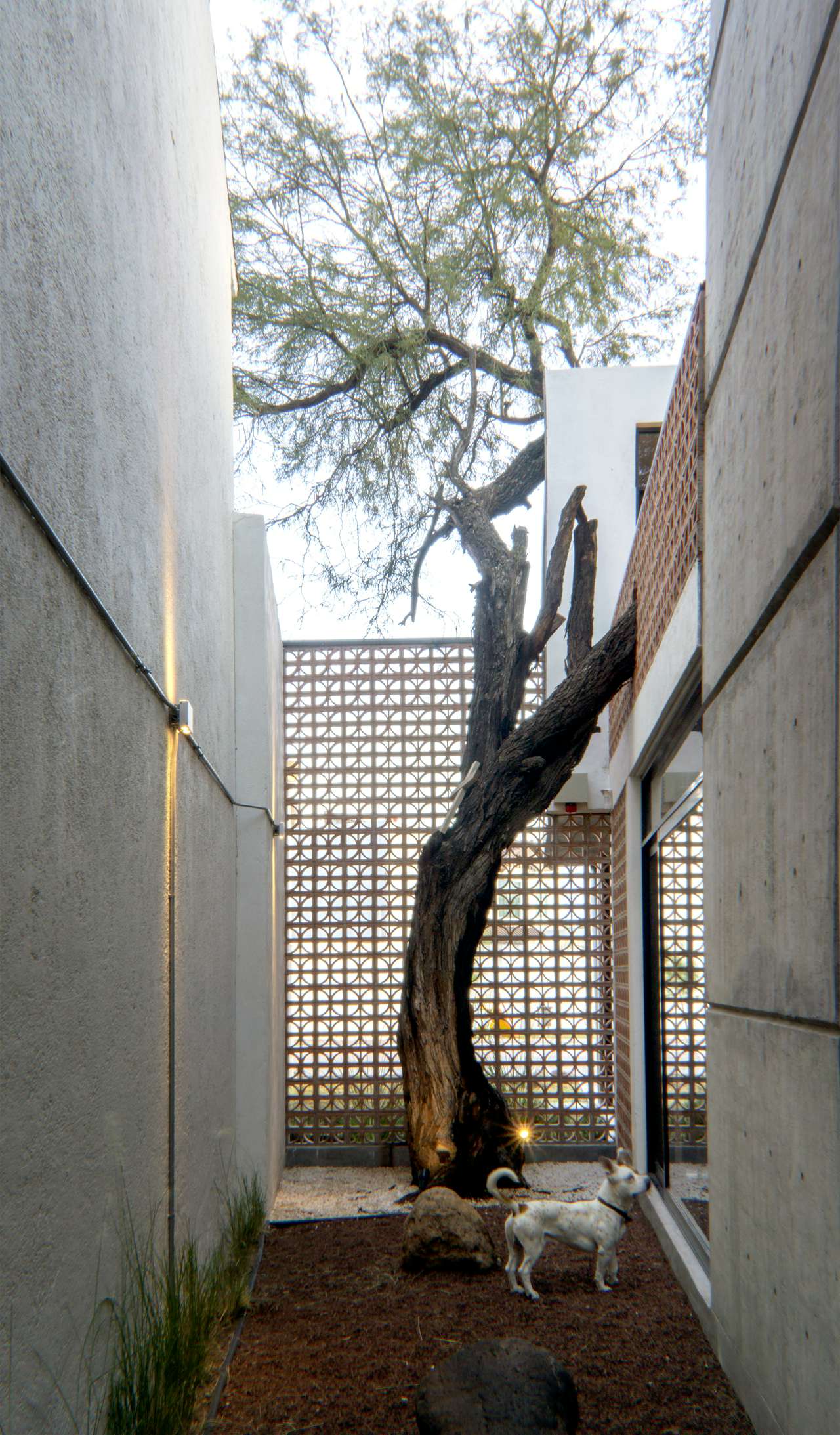 Photo 12 of 34 in Love It or Hate It: Breeze Blocks by Dwell - Dwell