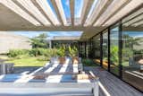 Outdoor, Wood Patio, Porch, Deck, Grass, Back Yard, Hardscapes, Vertical Fences, Wall, Flowers, Horizontal Fences, Wall, Gardens, Large Patio, Porch, Deck, Garden, Concrete Patio, Porch, Deck, Shrubs, and Concrete Fences, Wall  Photo 20 of 48 in Pilará  House by Besonías Almeida arquitectos