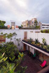 Outdoor, Rooftop, Gardens, and Horizontal Fences, Wall  Photo 6 of 40 in Gardens by Matthew Heaton from Veramendi House