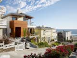 Dynamic wood windows and doors with custom stain finish.  Manhattan Beach - CA