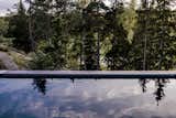 A black pool in the midst of the forest landscape - Yes!