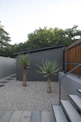 In the entrance courtyard, two large aloes forms a green contrast to the otherwise grey color palette.