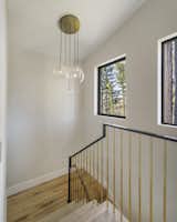 Staircase featuring redwood trees. 