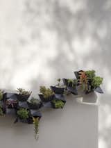 The east facing patio has a geometric wall mounted succulent planter. The graphite colored planters and white wall contrast the various colors of the plantings. 