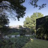 Outdoor, Flowers, Landscape, Shrubs, Grass, Vegetables, Garden, Gardens, Hardscapes, Decomposed Granite, Concrete, Small, and Trees Garden and greenhouse  Outdoor Gardens Concrete Vegetables Photos from The Winnwood Residence