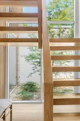 Floating white oak staircase with a wood slat wall as a railing, facing a two story window wall opening up to a pocket garden with a japanese maple