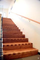 New staircase with finger jointed solid walnut risers and treads over solid maple stringers.