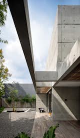 Back Terrace