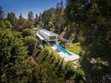 Outdoor, Walkways, Lap Pools, Tubs, Shower, Back Yard, Swimming Pools, Tubs, Shower, Gardens, Woodland, Grass, and Trees  Photos from Coldwater Canyon Residence