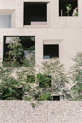Outdoor, Trees, Garden, and Stone Fences, Wall Openings for plants  Photo 9 of 34 in The Window House by formzero