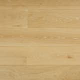 Mercury Blast 7-1/2"w x 7.2"l x 5/8"t
European White Oak. Select Grade.
Made in Spain.