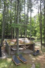 Hammock Lounge in the woods
