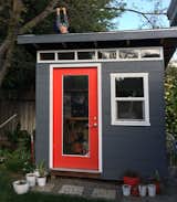 Backyard shed