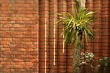 Outdoor, Trees, Flowers, Garden, Shrubs, and Vertical Fences, Wall  Photo 11 of 12 in LHTE Guest Bungalow Extension by SILT