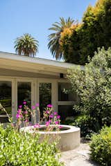 Mid-Century Modern Outdoor Area