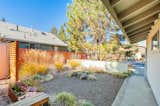Low-maintenance landscaping with native plants.