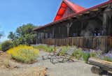 Spring Wildflowers and the sky watching chairs.
