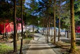 Nature is all around at this glamping resort, which is nestled in forests of cypress trees.&nbsp;&nbsp;
