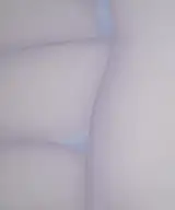 PATHWAYS 2 directional, see www.joangrabelart.com for sizes and prices