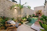 Outdoor, Back Yard, Gardens, Small Pools, Tubs, Shower, Landscape Lighting, Stone Fences, Wall, and Small Patio, Porch, Deck Pool and garden  Photo 2 of 18 in Casa Picasso by Francisco Bernes