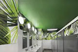 For the communal bathrooms we decided to make them a fun and unexpected explosion of greenery, thanks to Ghislaine Vinas' and Flavor Paper.  