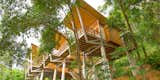 All the living areas are lifted off the ground, which creates a perfect setting for panoramic views among the treetops and helps to naturally cool the house