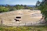 Outdoor, Back Yard, and Trees The almost 11 acre equestrian property offers two barns with 24 new stalls, seven large turnouts, tack rooms, riding arena, and a round pen.  Photo 5 of 13 in Academy Award-Winner's Equestrian Paradise, Sundance Ranch, Seeks $13.9M by Mr. Chateau