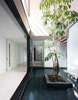 Landscaping within the sunken courtyards give the subterranean spaces, devoid of external views, internal views of greenery.