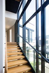 Staircase, Glass Railing, Metal Railing, Wood Railing, and Wood Tread Returning to the shared Living and Dining, a staircase leads up further to…  Photo 11 of 15 in Project #4 by Studio Wills + Architects
