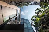 Outdoor, Garden, and Gardens Courtyards, nested in between these building volumes, punctuate the ‘base’…   Photo 6 of 15 in Project #4 by Studio Wills + Architects