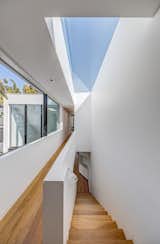 A skylight runs the length of the stairs, allowing natural light to interact with interior surfaces.