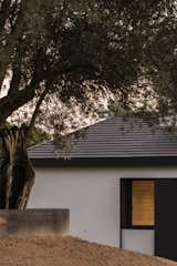 Framed by an ancient olive tree, the main house reveals its carefully balanced composition of clean lines and natural textures. The steel shutters and Venetian blinds enhance privacy while subtly interacting with the warm interior lighting.