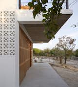 Outdoor, Trees, Field, Concrete Patio, Porch, Deck, and Wood Fences, Wall  Photo 11 of 16 in Casa Cal by BAAQ'