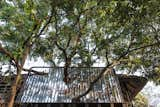 View from below looking at upper level bathroom with trees piercing through reflective facade