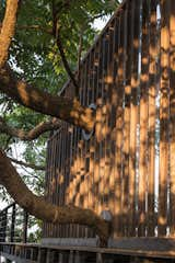 Exterior, Wood Siding Material, Hipped RoofLine, Green Roof Material, and Treehouse Building Type Close up view of upper level bathroom facade  Photo 10 of 14 in Tala Treesort by Architecture BRIO