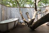 Bath Room, Freestanding Tub, Open Shower, and Medium Hardwood Floor Upper level partly open to sky bathroom with trees piercing through  Photo 11 of 14 in Tala Treesort by Architecture BRIO