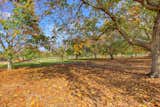 A Red Bluff property on an almost 20-acre lot listed by Coldwell Banker Residential Brokerage for $1,075,000.