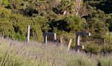 Keys Creek Lavender Farm In Valley Center listed by Coldwell Banker Realty for $2,380,000.