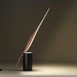 At first glance, the Serena lamp appears to be in motion; it is a leaf blown by a gentle breeze, dancing through a current of wind. Inspired by the simple beauty of nature, the Serena lamp features a dynamic reflector that can be directed to obtain an intense, precisely reflected light. The structure of the lighting body reduces the LED source’s visual impact, providing the user with a level of comfort that belies the design’s superior technology.  Photo 4 of 4 in Lighting Design by Context Gallery