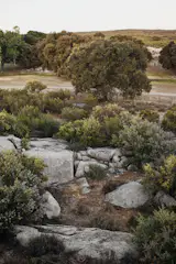Campo verde is a 30 acre site on the east side of Tecate, a magical pueblo home of the Rancho La Puerta Wellness resort.