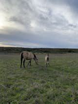 For the last 50 years the land has been used for gracing raising cattle and horses. To date, that is mainly the productive activity, contributing to the charming Rural landscape visitors enjoy arriving thru the old road.