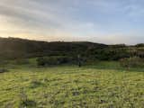 Walking every corner over 3000 acre land takes time valuable feedback from friends and family starts being documented (Javier Gracia)