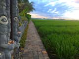 Pathway to the villa with a view to rice fields on one hand and stone carved fence on the other
