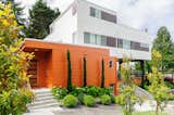 The entrance is carved out of a grounded volume to create an arrival space as the rest of the house encloses the garden and courtyard.