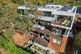 The restored Madrona tree cradled by the exterior decks and home.